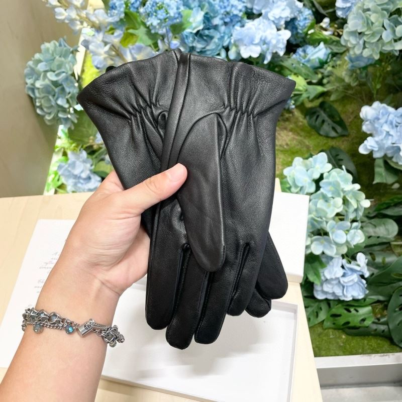 Christian Dior Gloves